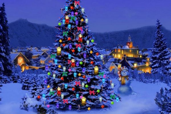 Christmas-Tree-Nature_lg