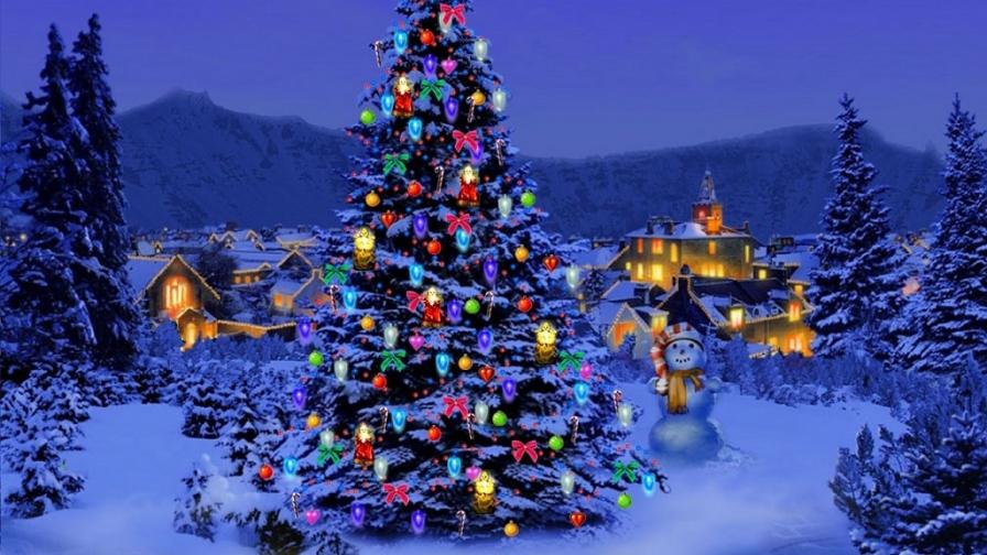 Christmas-Tree-Nature_lg