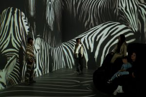 fooldal_morphogenesis