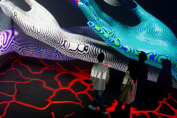 fooldal_morphogenesis_3