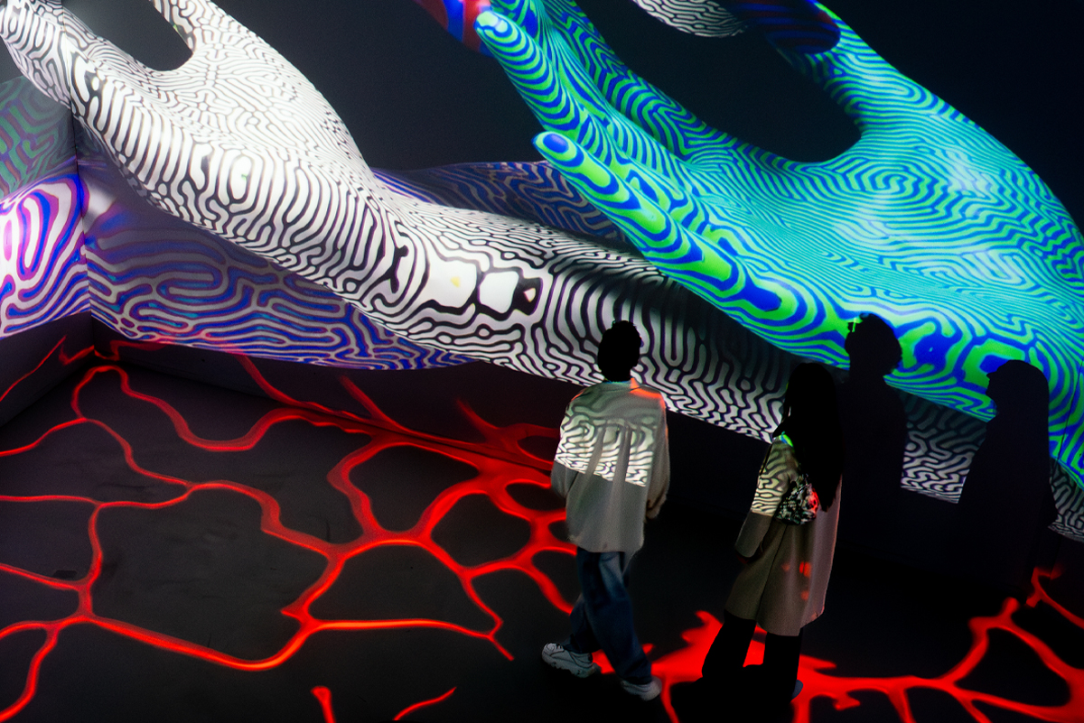 fooldal_morphogenesis_3