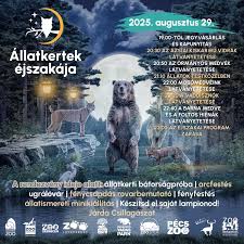 images (31)