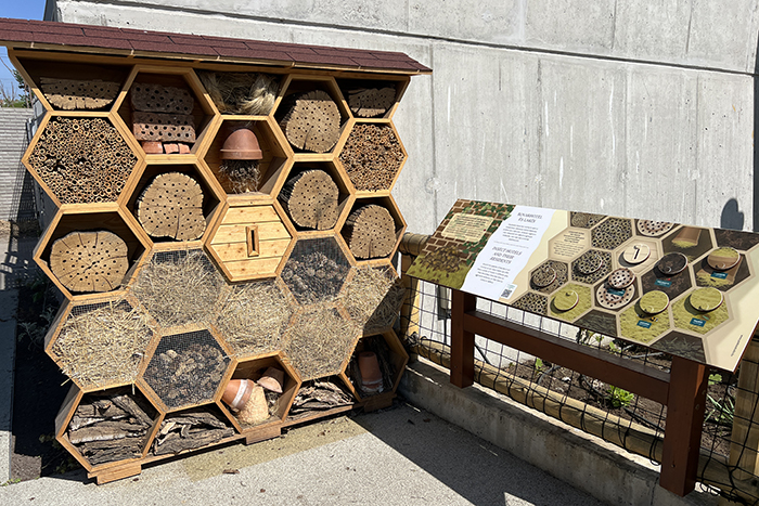 BeporZOOna az Állatkertben